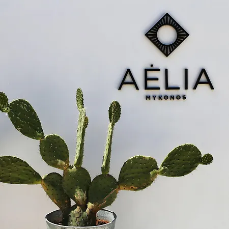 Отель Aelia Mykonos 4*