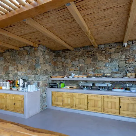 Hotel Aelia Mykonos Ornos (Mykonos)