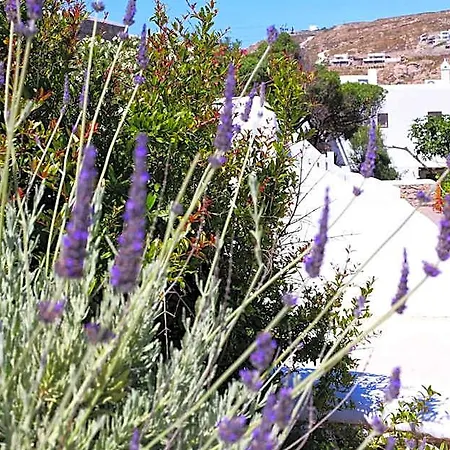 Aelia Mykonos Hotel Ornos (Mykonos)