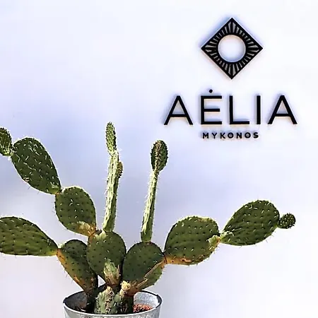 Hotel Aelia Mykonos