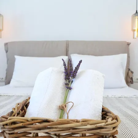 Aelia Mykonos Ornos (Mykonos)