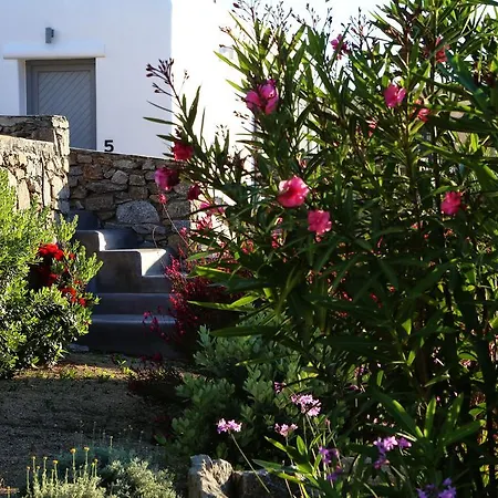 Hotel Aelia Mykonos 4*